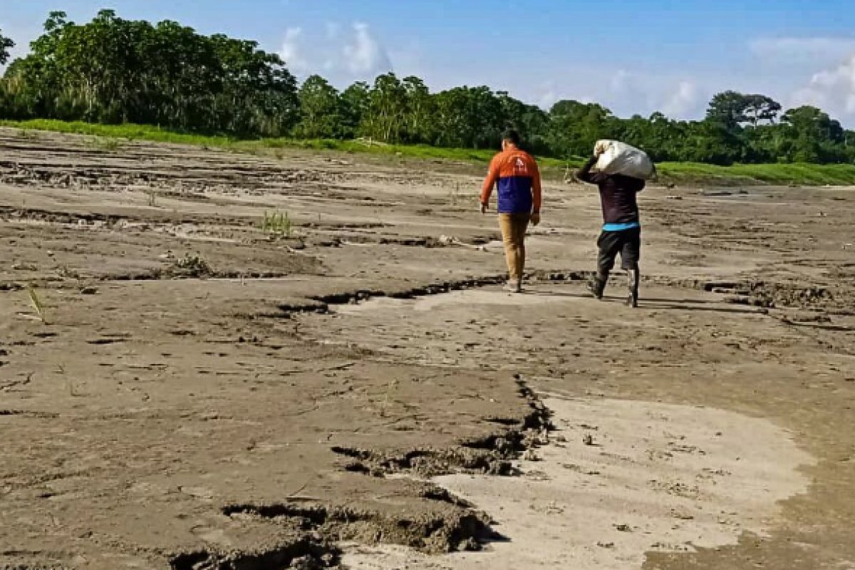 Defesa Civil do Amazonas prevê antecipação do período de seca no estado