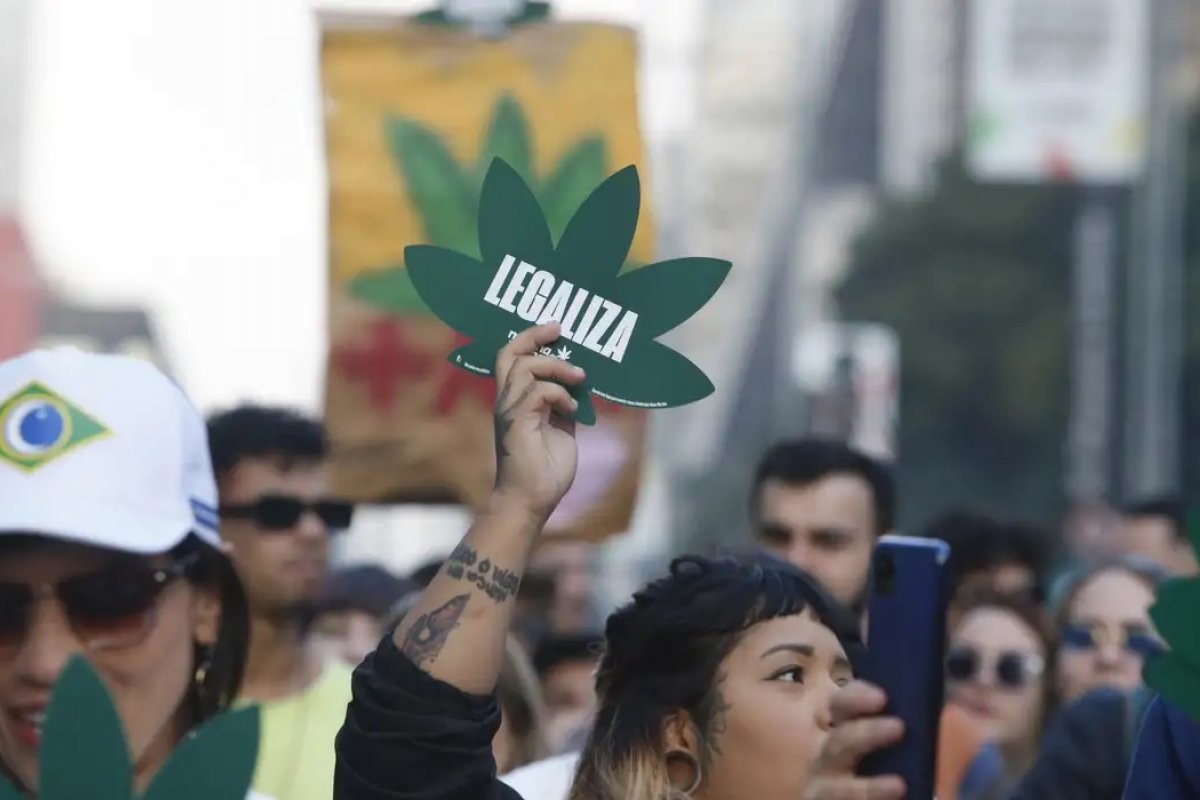 Entenda as três teses em julgamento do STF sobre descriminalização do porte de maconha