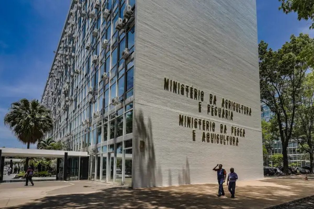 Ministério da Pesca abre inscrições para concurso com 264 vagas e salário de R$ 6,1 mil
