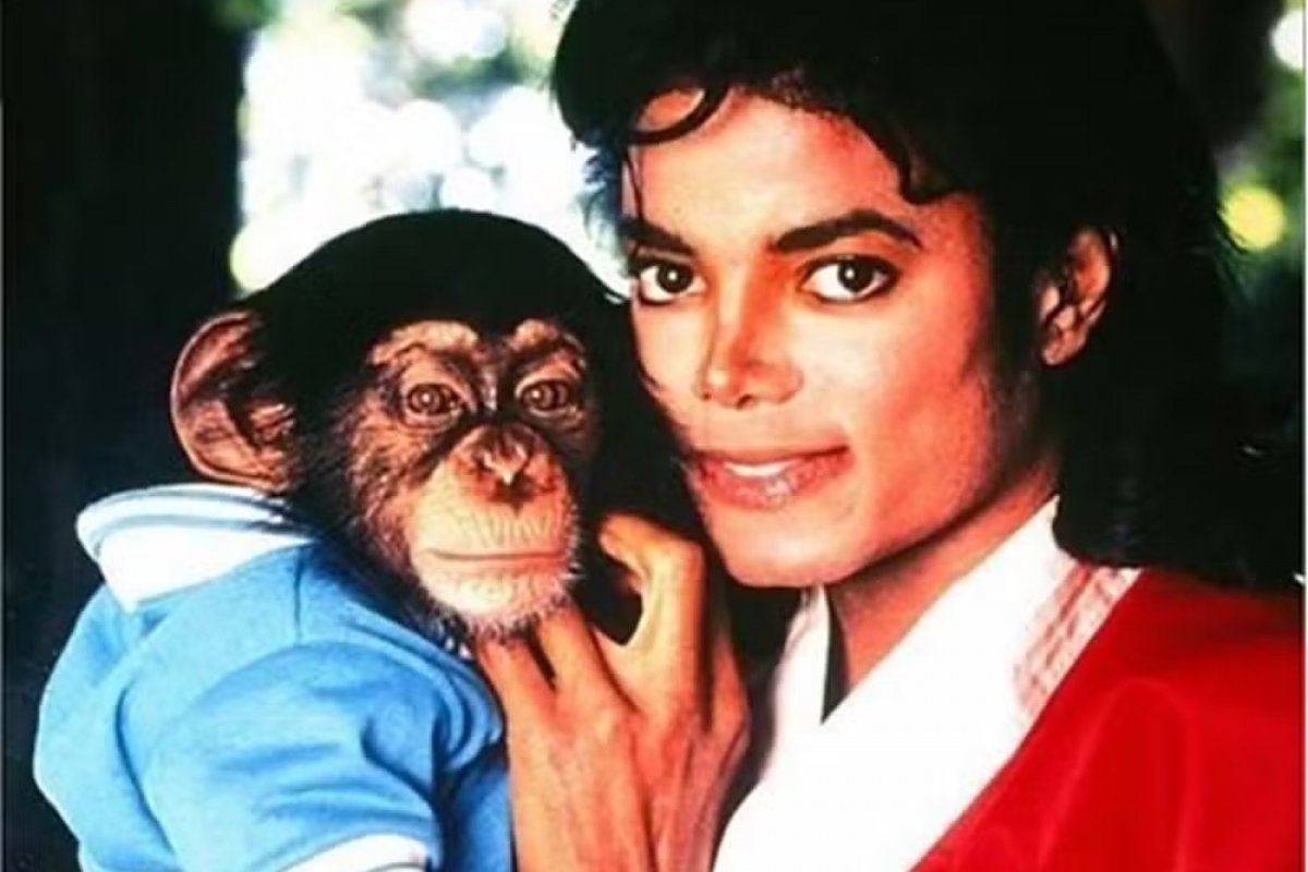 Chimpanzé de Michael Jackson vive em santuário e recebe R$ 160 mil por ano