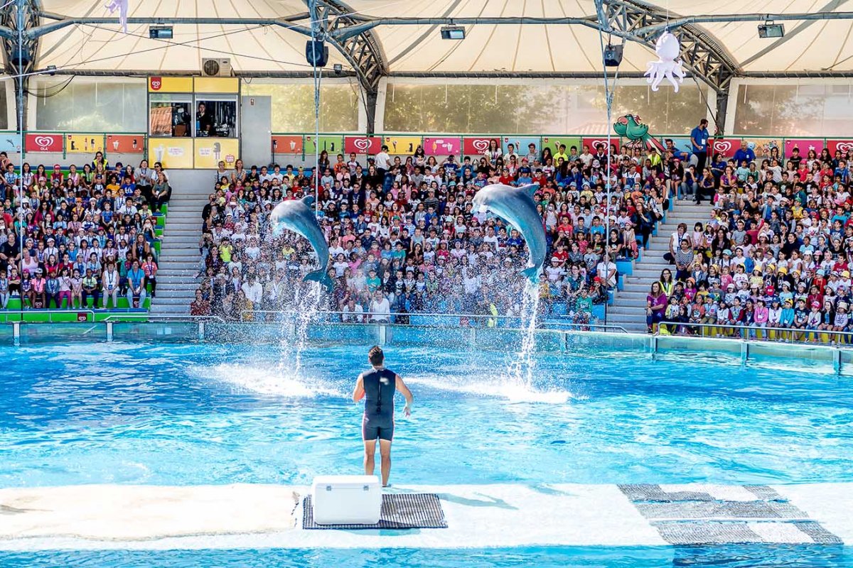 Lisboa para crianças: Férias, verão e muita diversão!