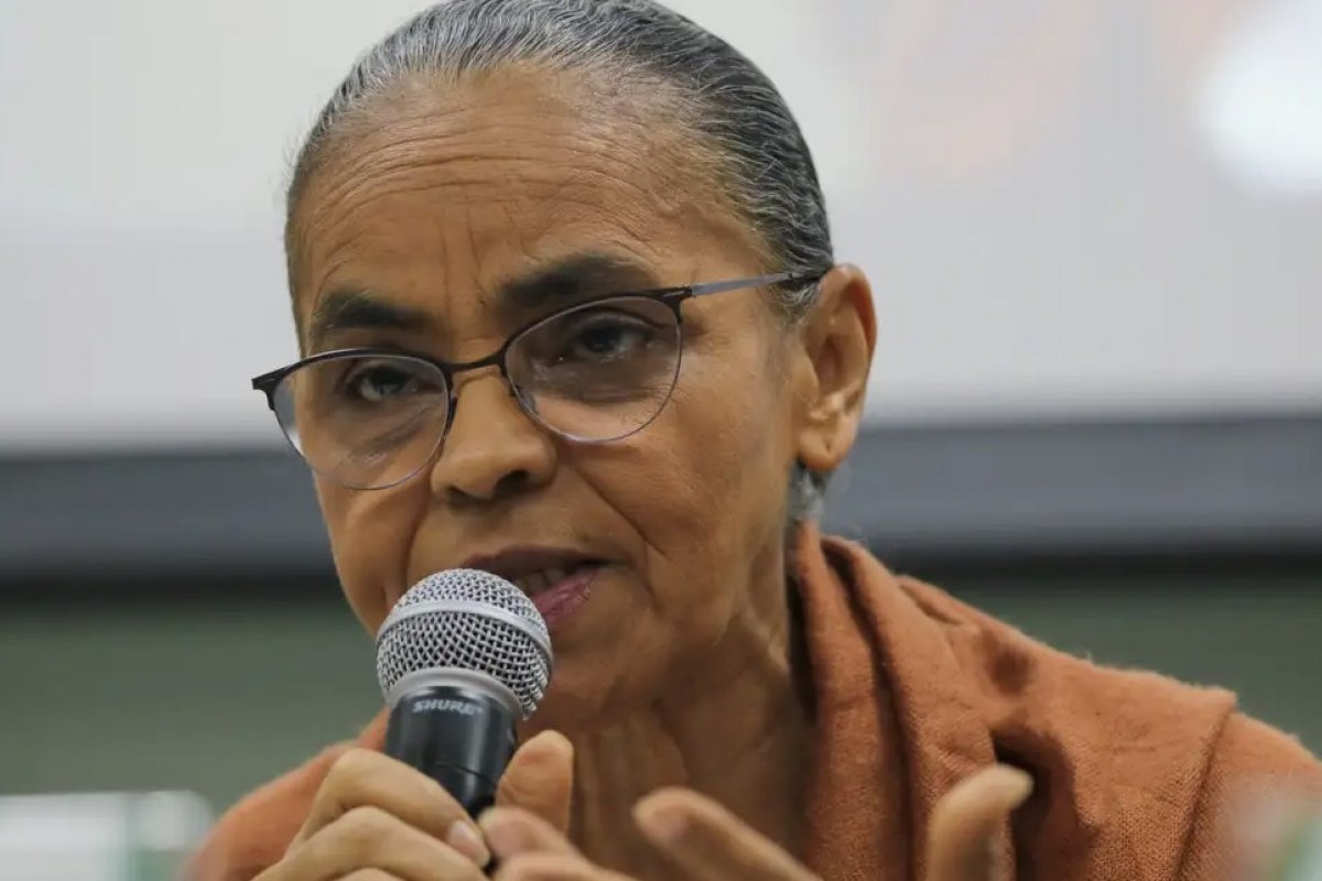 Marina aponta que 85% dos incêndios no Pantanal ocorrem em áreas privadas