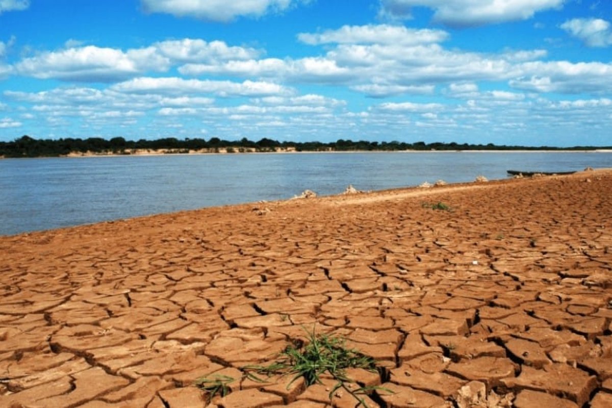 Nos últimos 700 anos, cerrado brasileiro passa por seca sem precedentes