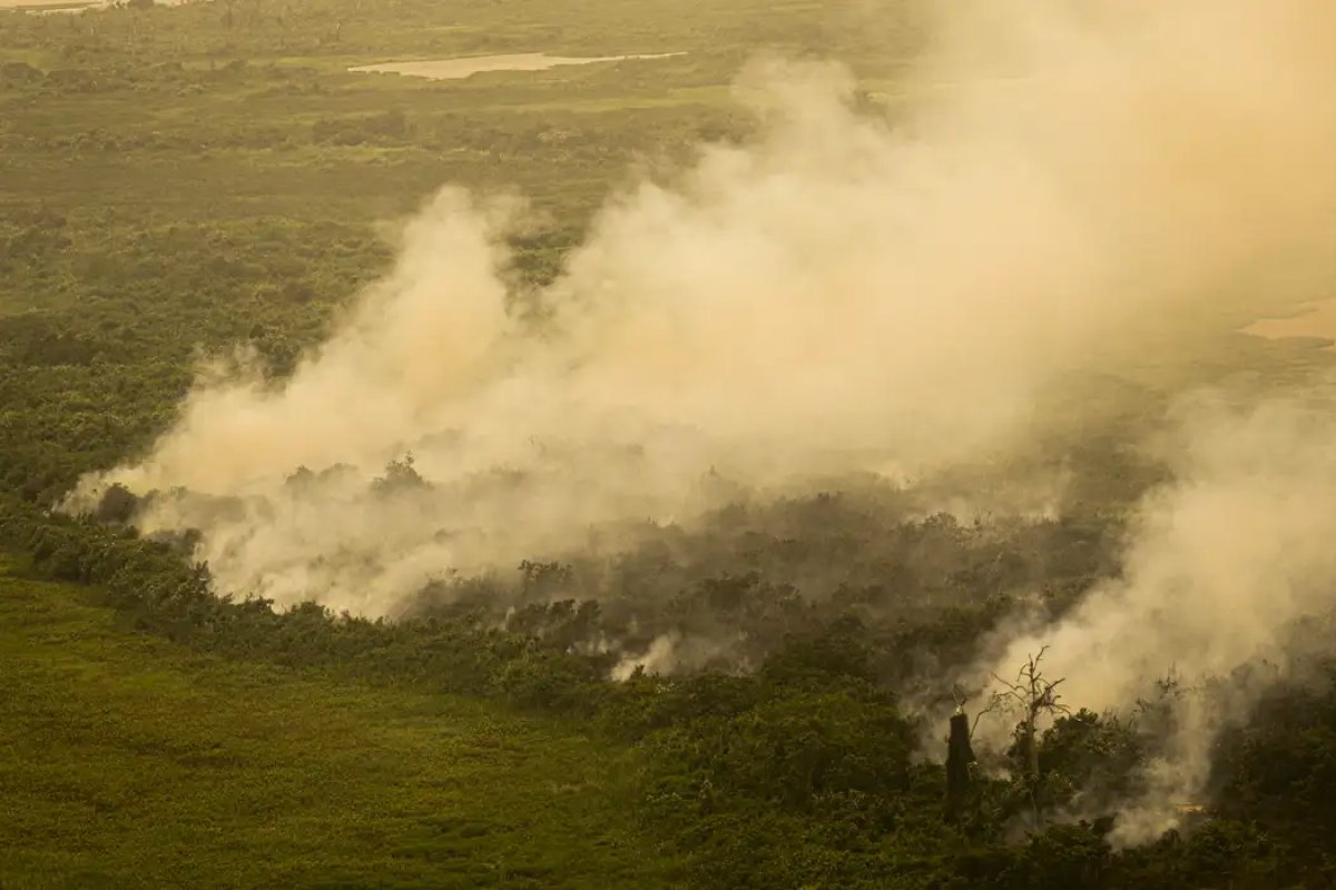FAB faz três voos hoje sobre o Pantanal para combate às queimadas