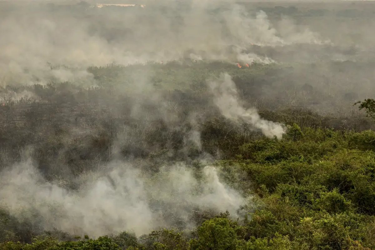 Força Nacional reforça equipe de combate a incêndios no Pantanal