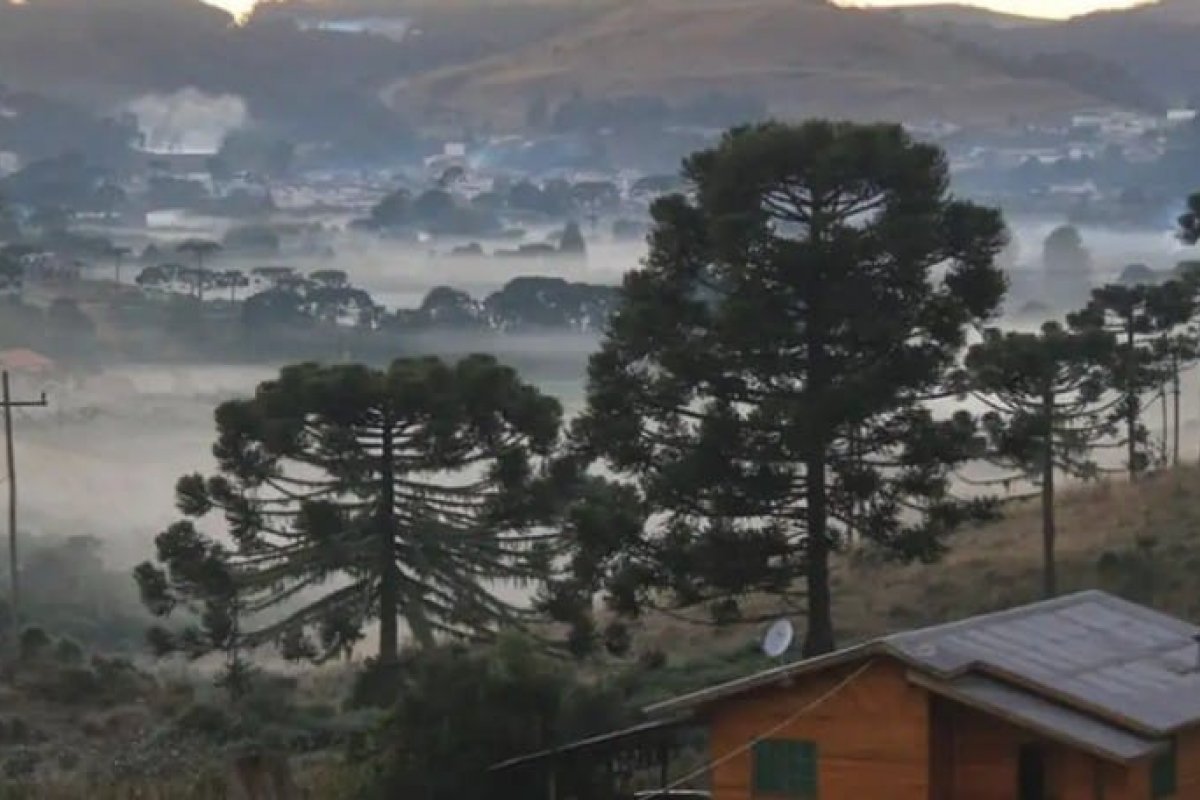 Cidade de SC registra menor temperatura do ano no Brasil com -7,2°C