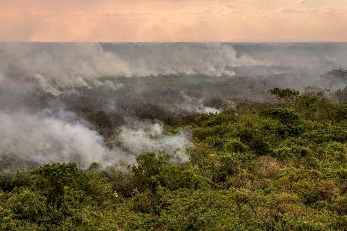 Pantanal pode ter crise hídrica histórica em 2024, aponta estudo
