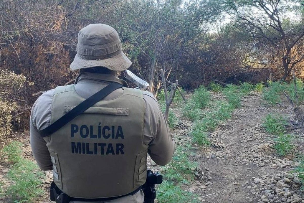 Homem suspeito de tráfico de drogas é preso em Itapuã