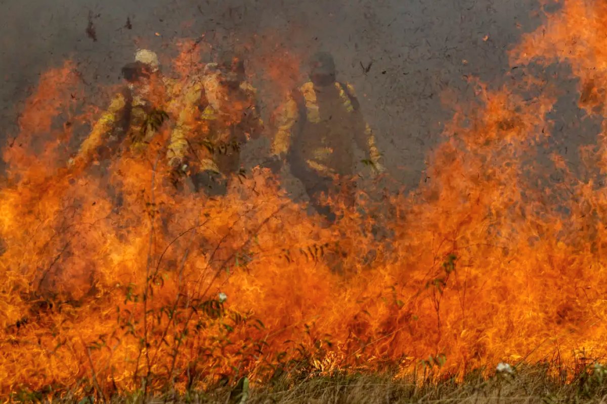 STJ determina fim de greve no Ibama e impõe multa diária de R$ 200 mil