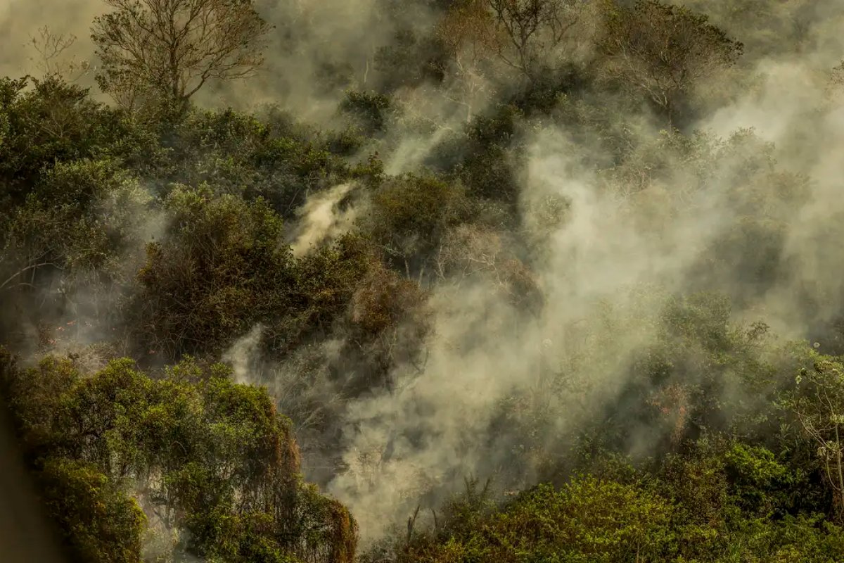 Incêndios podem ter degradado 9% do Pantanal nos últimos cinco anos