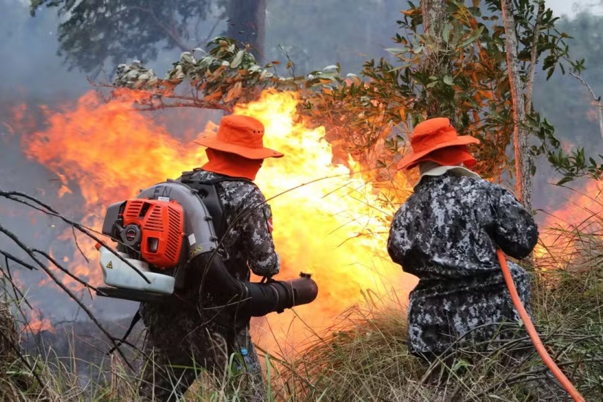 Experimento científico da UFMS no pantanal causou incêndio acidental em reserva privada, diz laudo