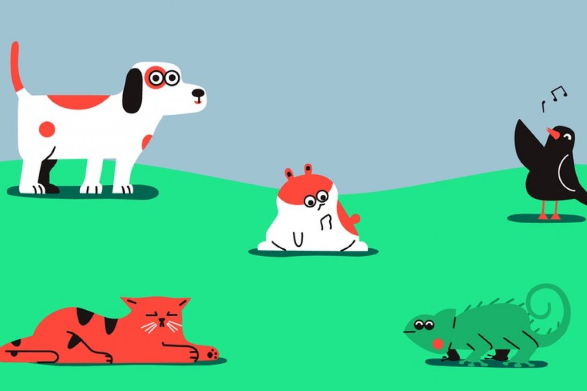 Aplicativo de música lança playlists para animais de estimação