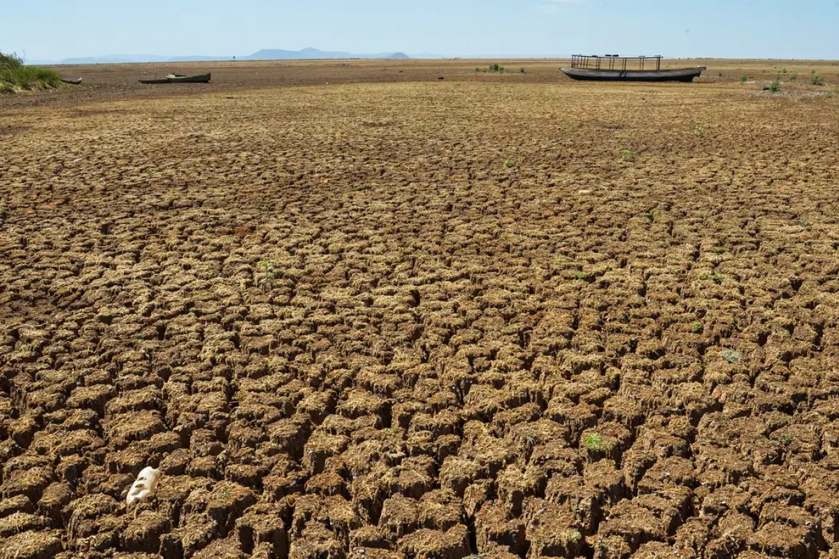 Desmatamento e mudanças climáticas intensificam secas e cheias na Amazônia