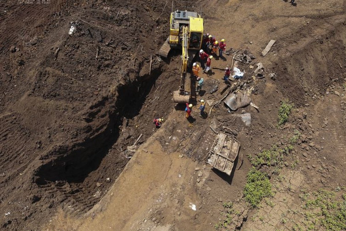 Ações de reflorestamento ainda dão os primeiros passos em Brumadinho