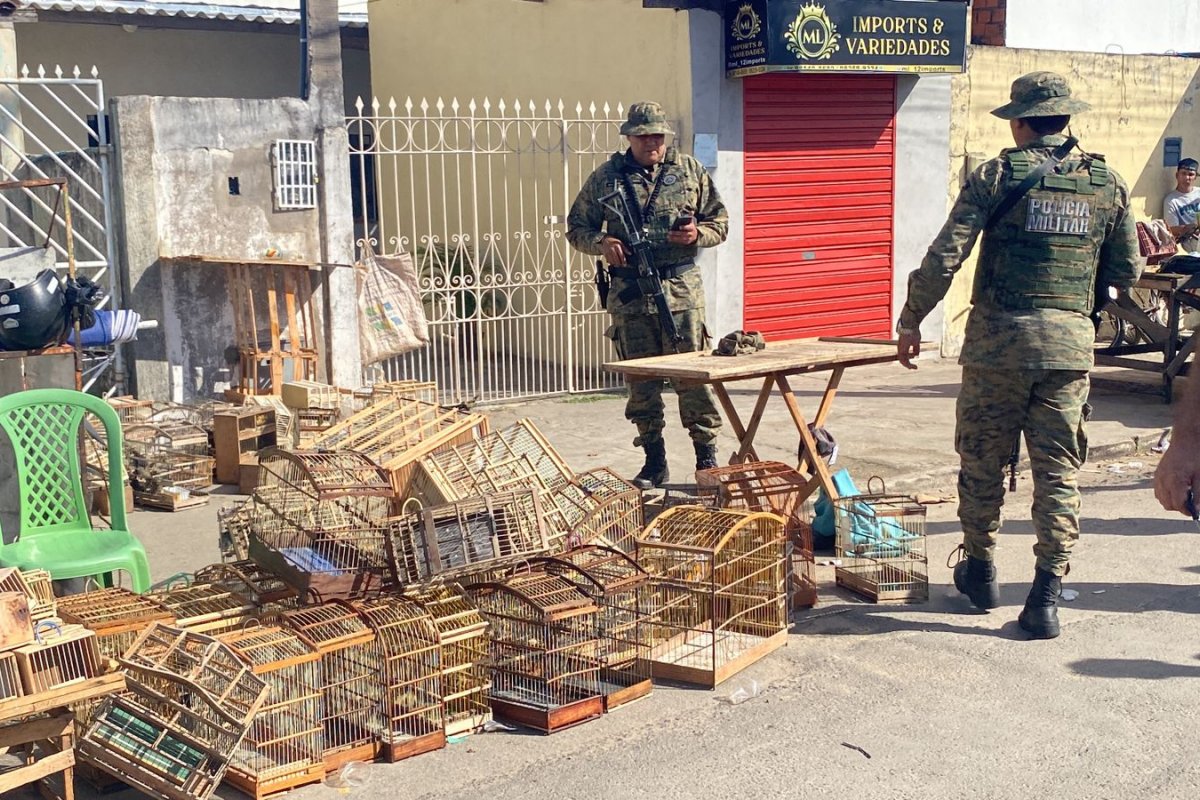 Homens são flagrados pela PM com aves silvestres em Feira de Santana
