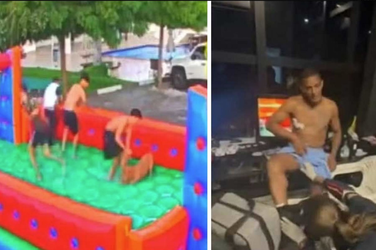 Porteiro e adolescentes ficam feridos após serem atacados por pitbull na Bahia
