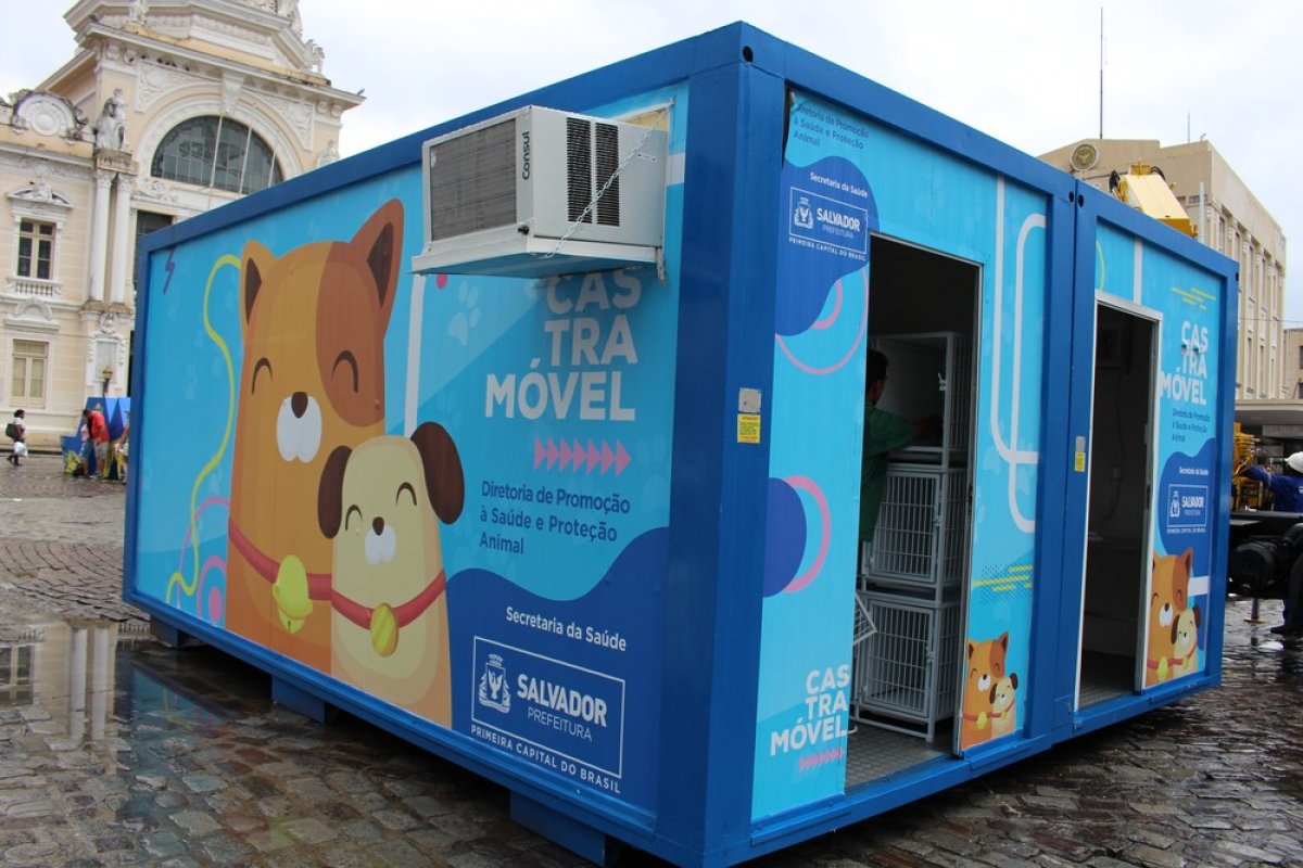 Castramóvel retoma atividades em Salvador; confira horário de atendimento