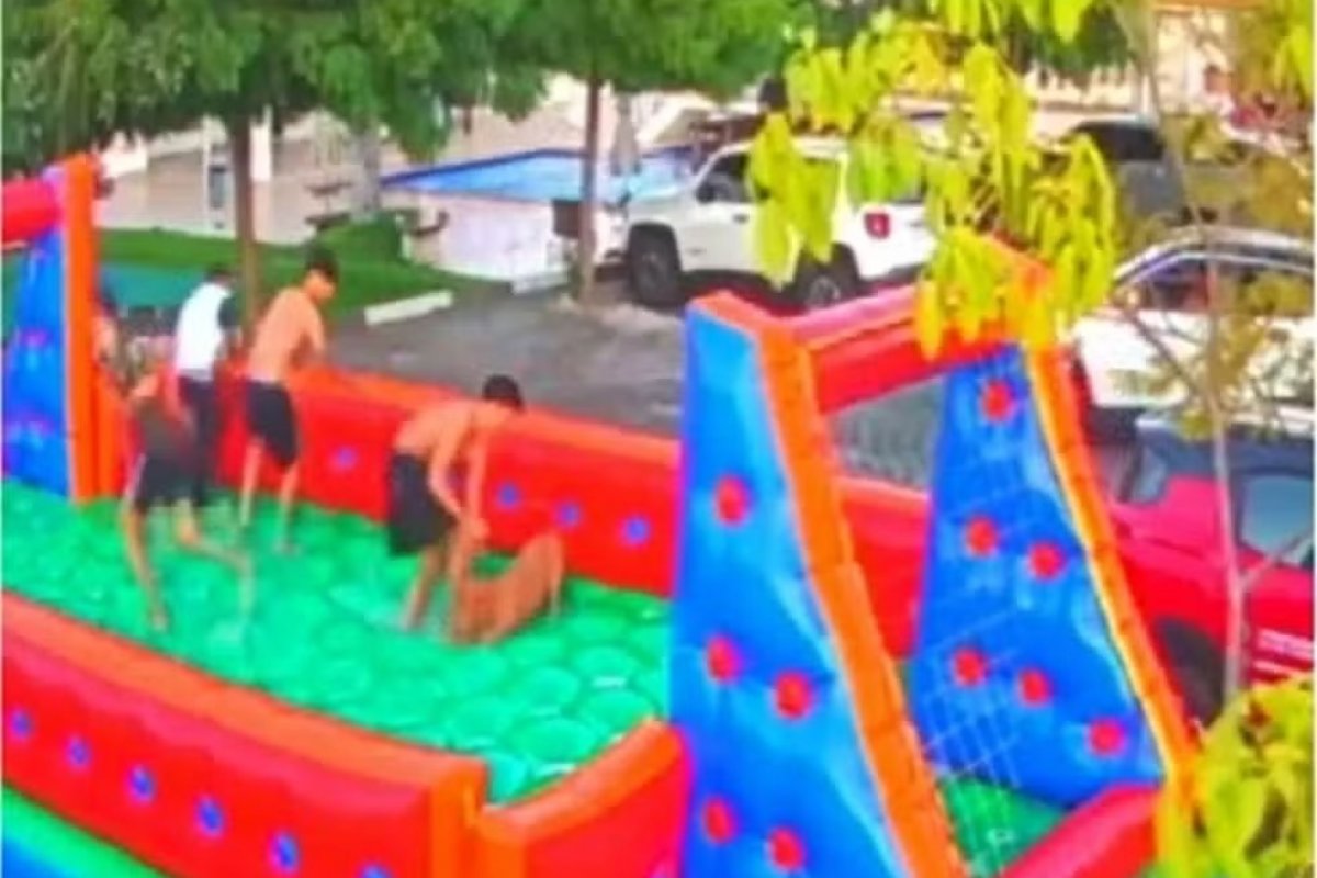 Convidados de aniversário onde houve o ataque de cachorro na Bahia, foram trancados em quadra para não serem feridos