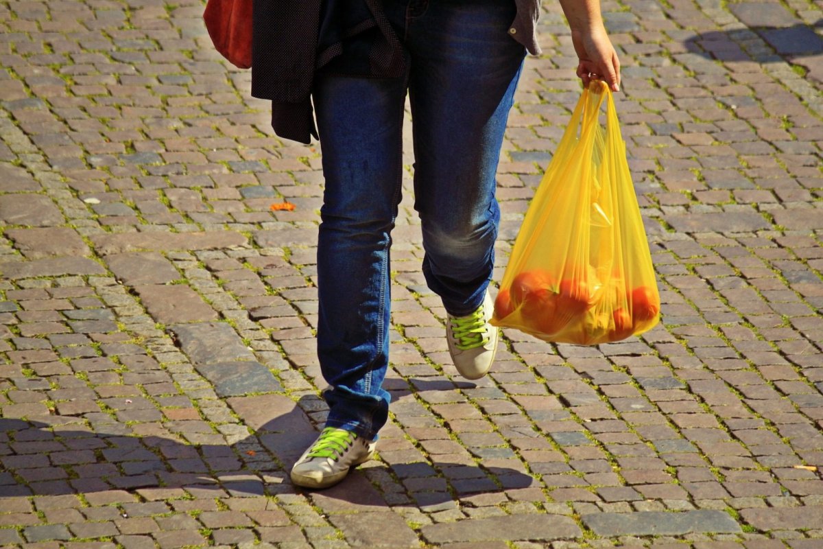 Codecon notifica 19 estabelecimentos por irregularidade na distribuição de sacolas plásticas