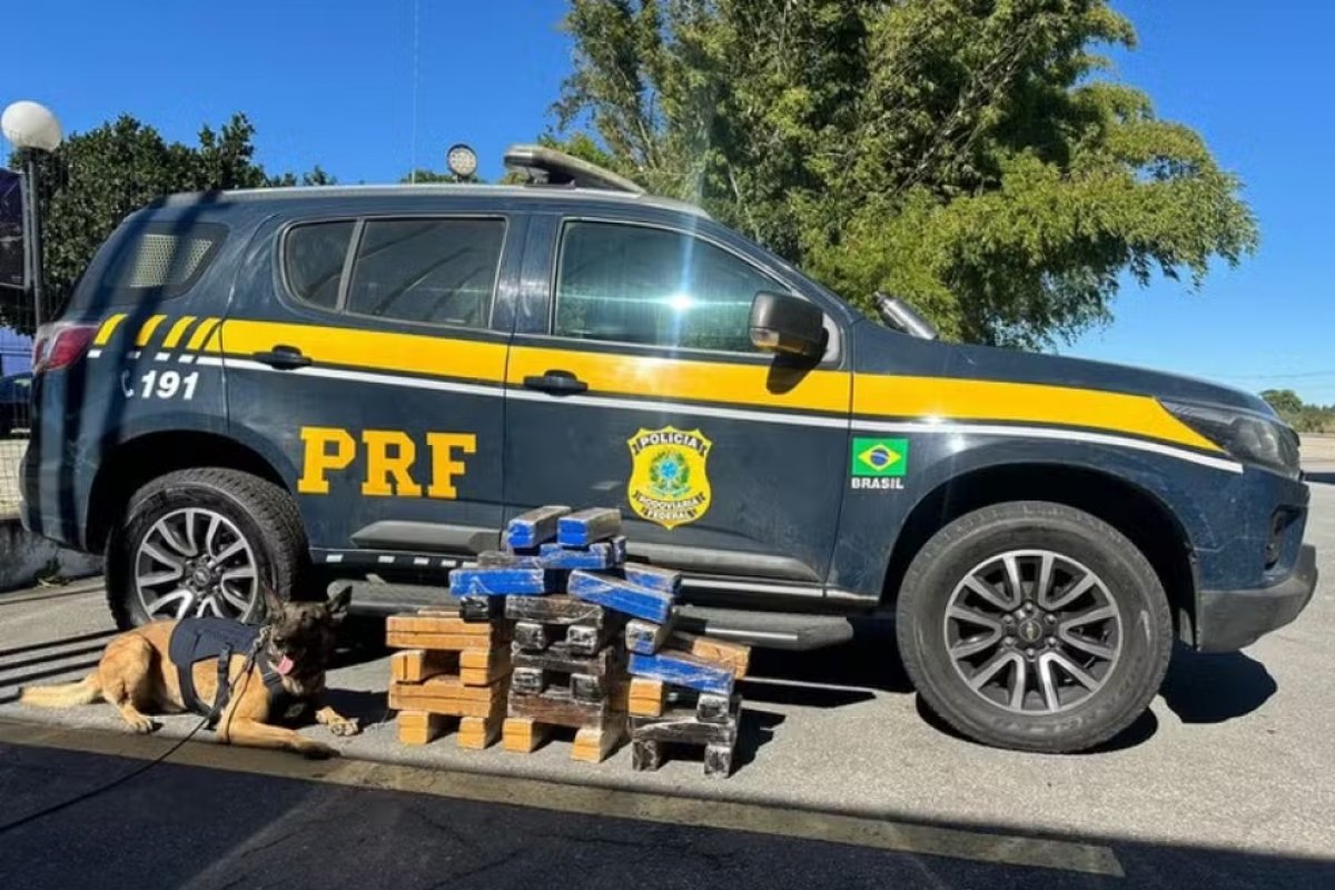 Mulher é presa suspeita de transportar 67 kg de maconha em ônibus no interior da Bahia