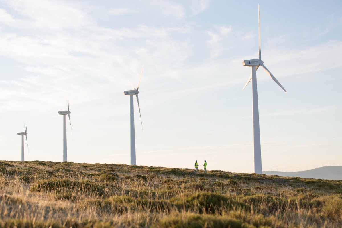 Agência Internacional de Energia destaca ações do Brasil na presidência do G20