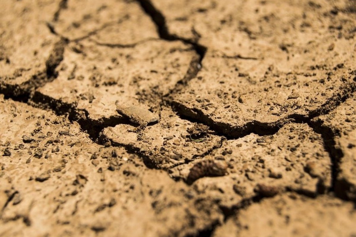 Brasil tem mais de mil cidades sob classificação de seca extrema ou severa