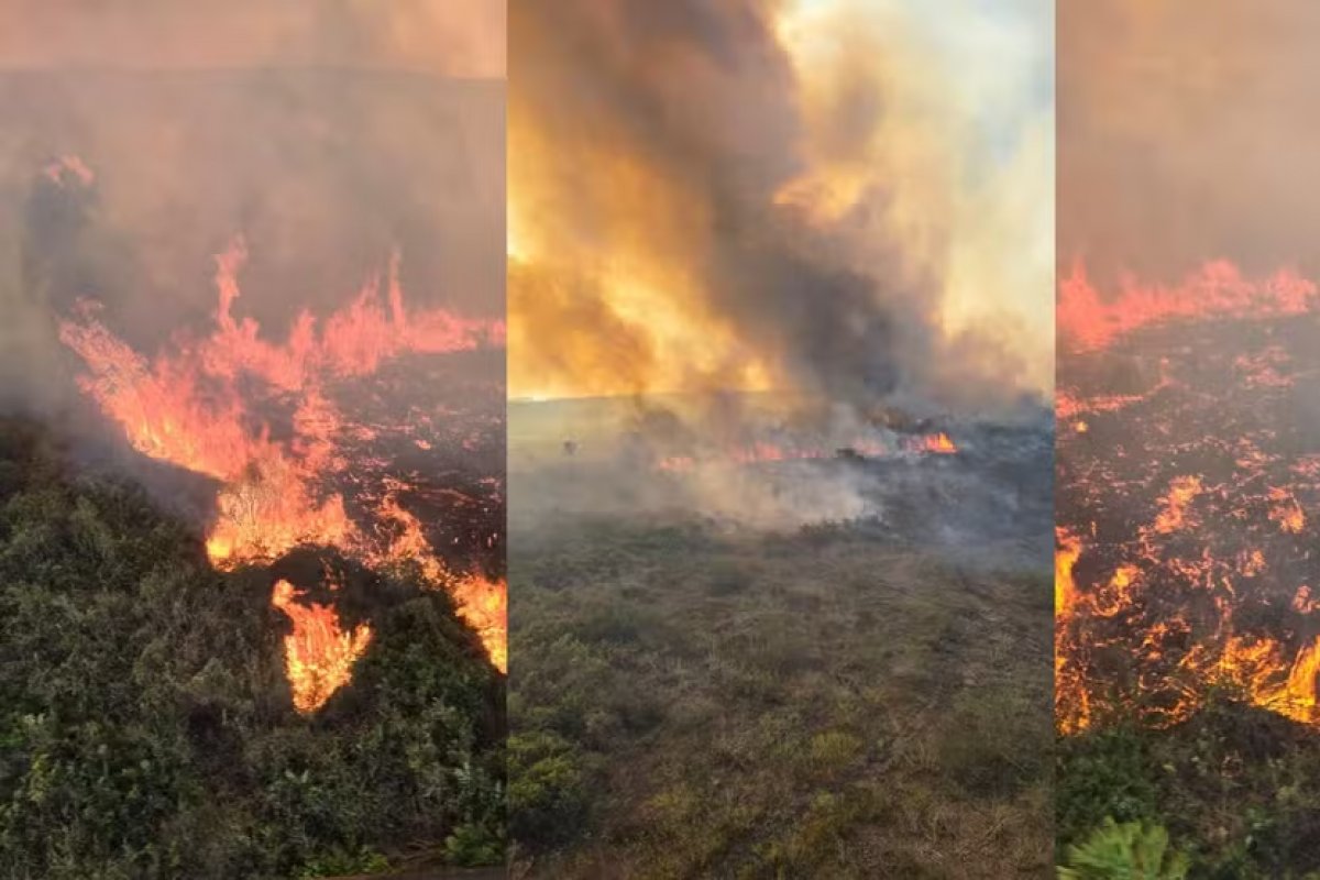 Pantanal chega a marca de 800 mil hectares queimados em 2024