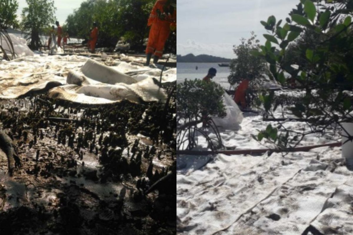 Derramamento de óleo na Bahia: empresa ligada à Petrobras é multada em mais de R$ 200 mil pelo MP