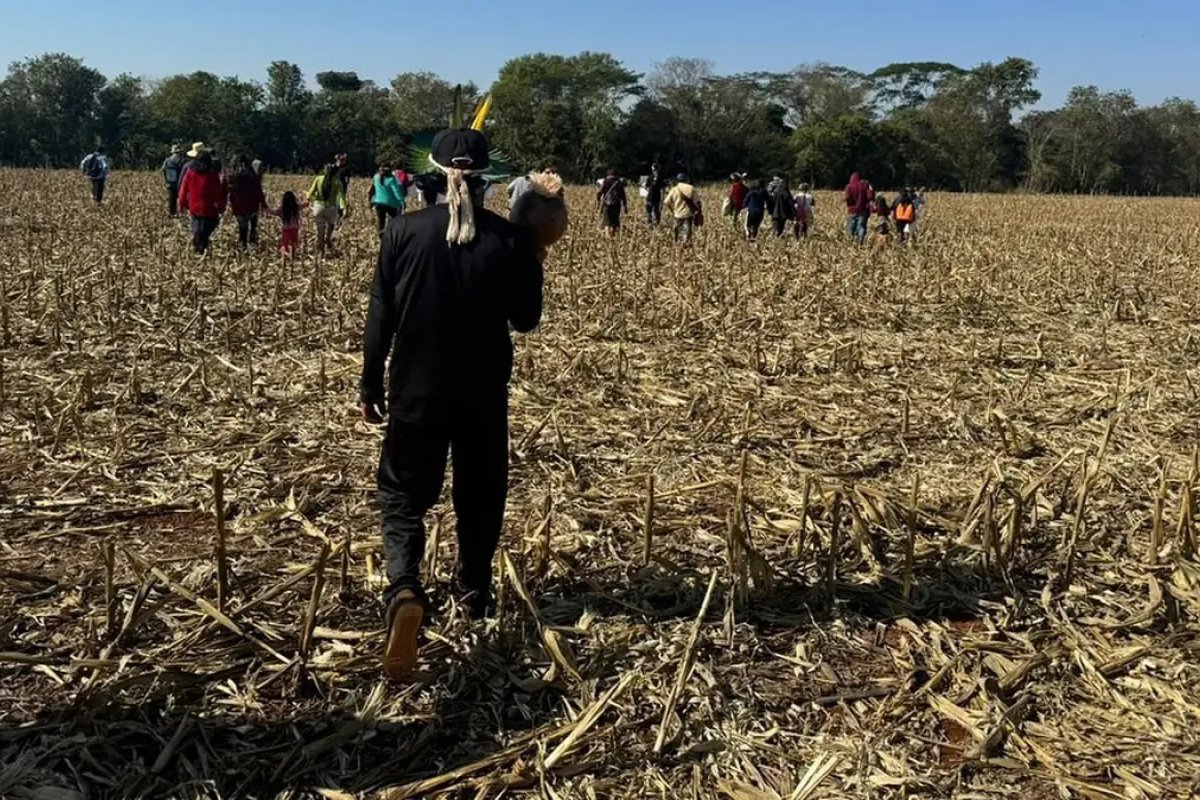 Justiça impede Funai de distribuir lona a indígenas de ocupação no PR