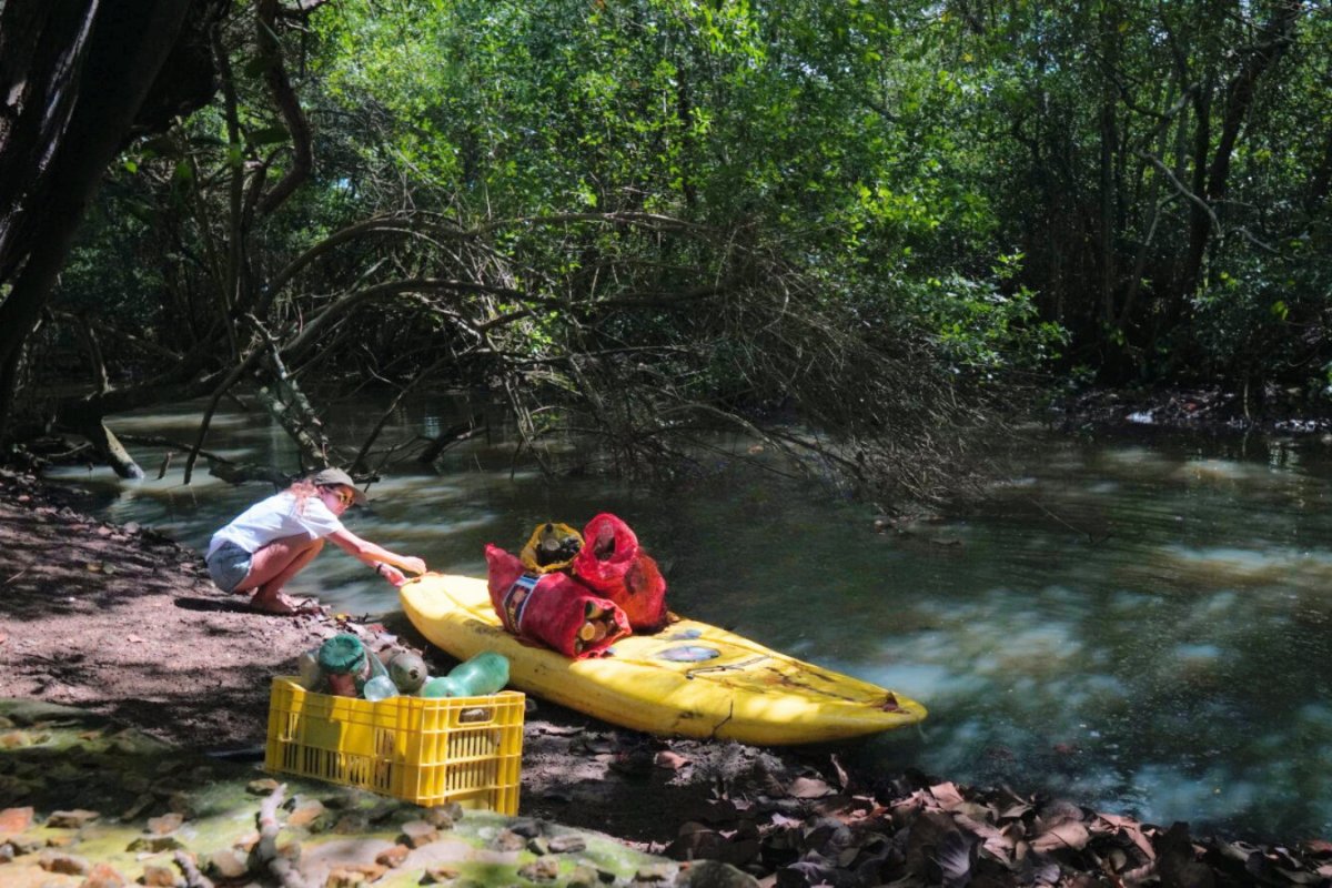 Projeto Mares celebra Dia Mundial de Proteção aos Manguezais com ação de limpeza de mangue em Mar Grande!