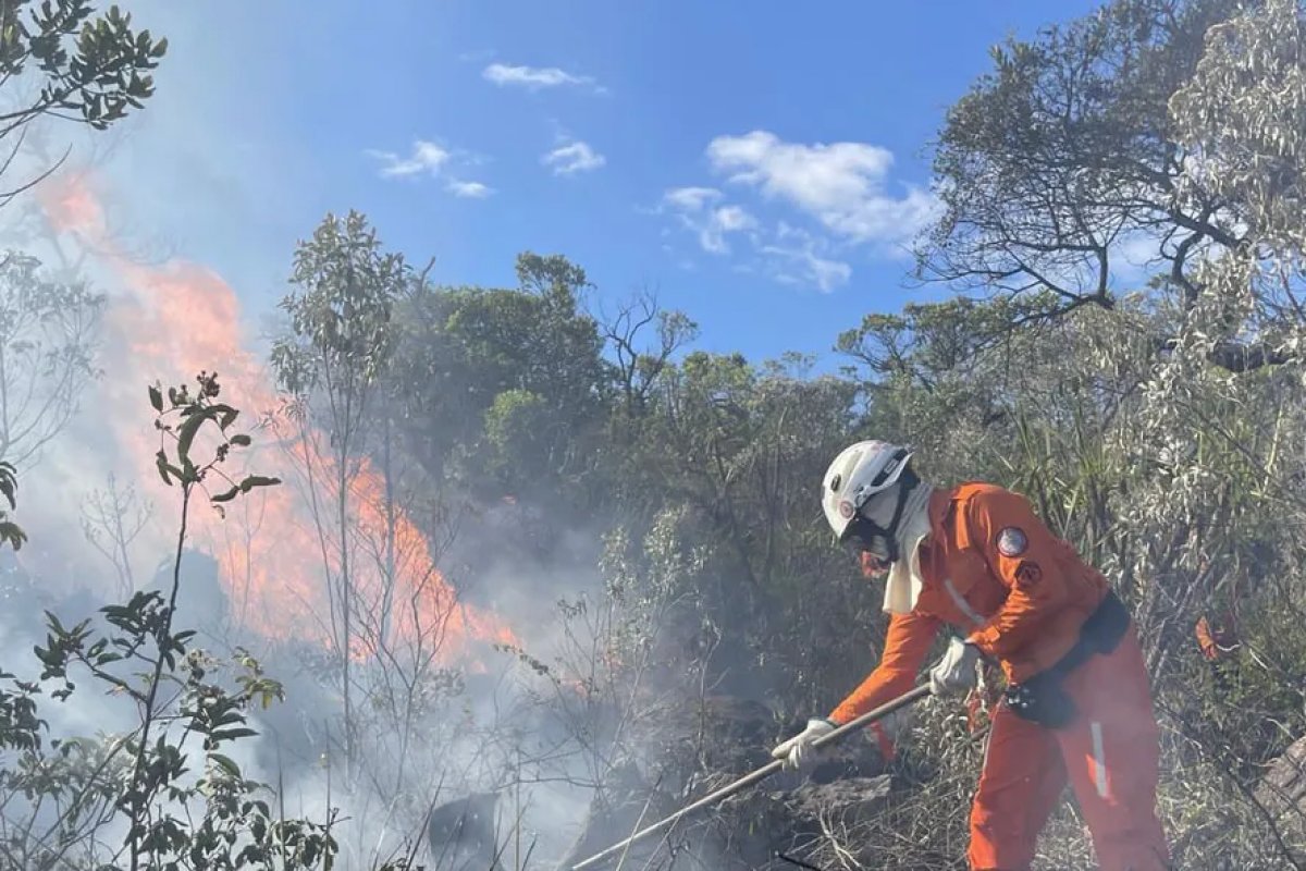 Mais de 510 mil hectares foram queimados na Bahia em 2023, aponta Inema