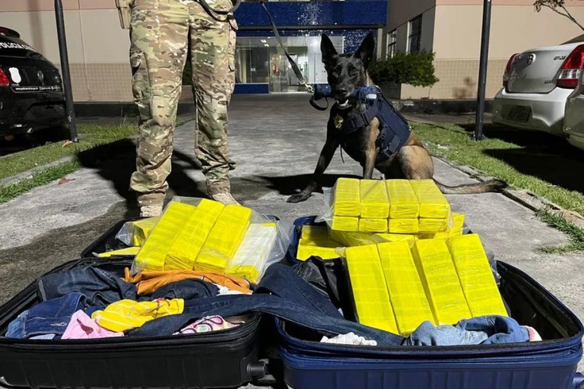 PRF apreende 50 kg de maconha em ônibus de turismo na Bahia