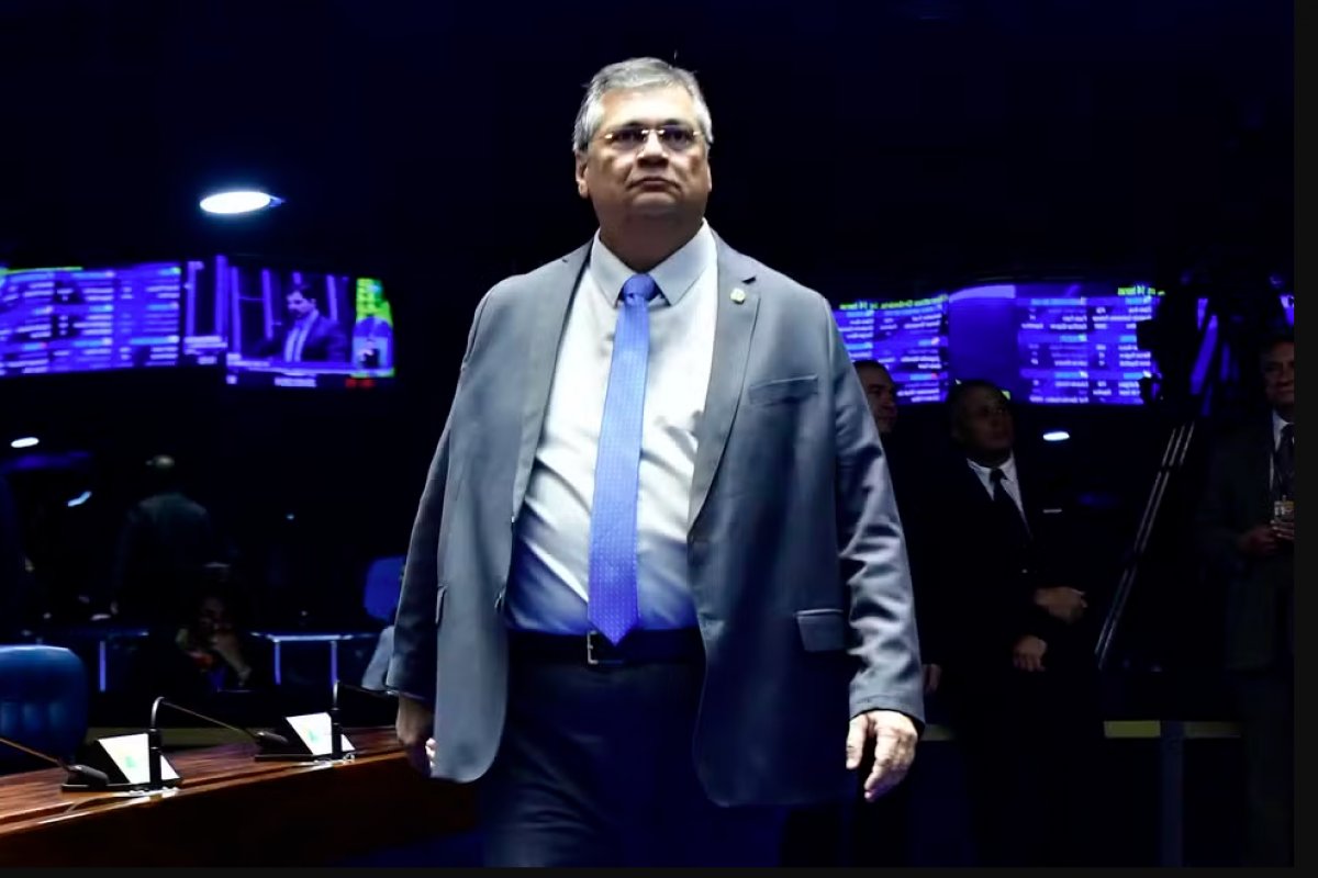 STF determina auditoria em repasses de emendas a ONGs e entidades do terceiro setor