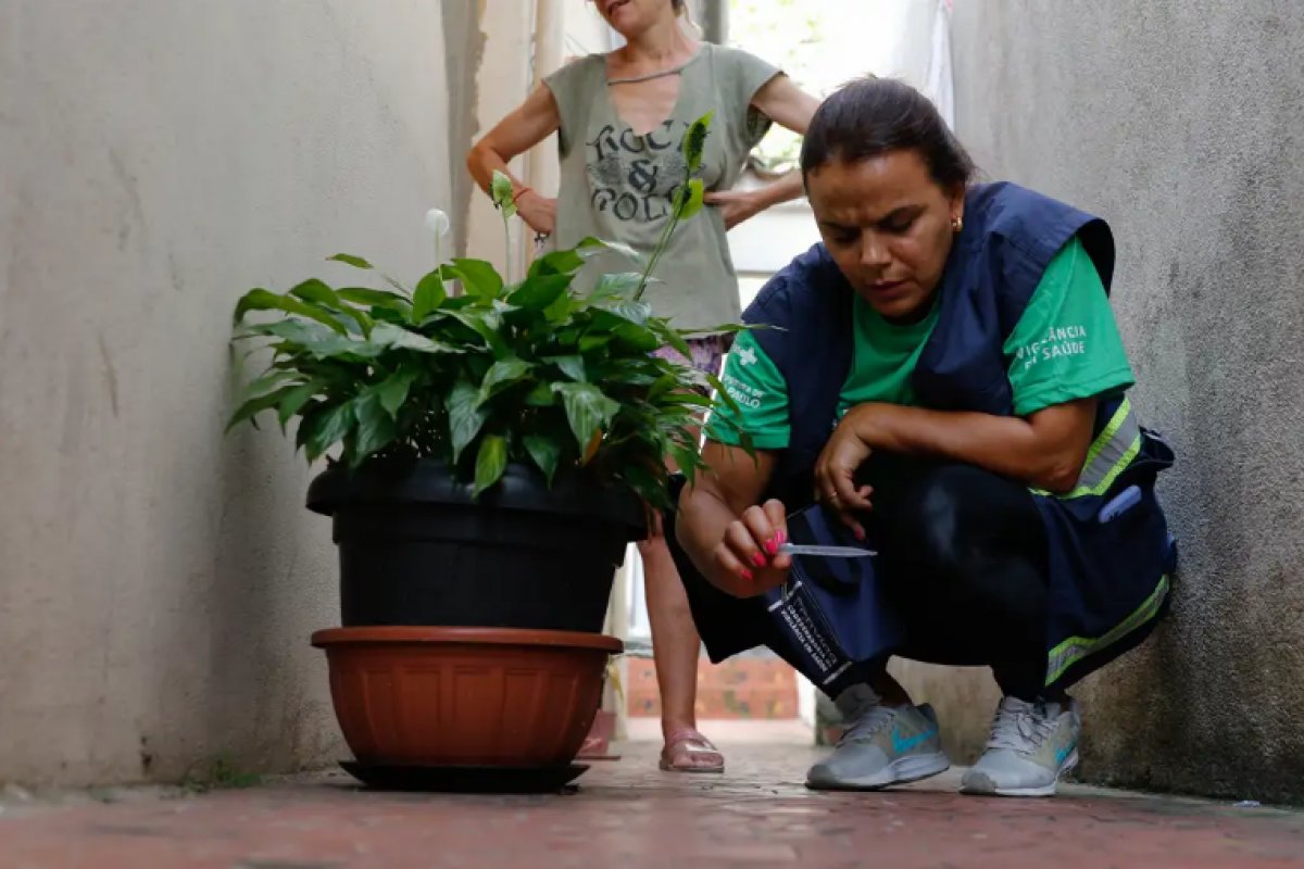 Brasil se aproxima de 5 mil mortes por dengue em 2024