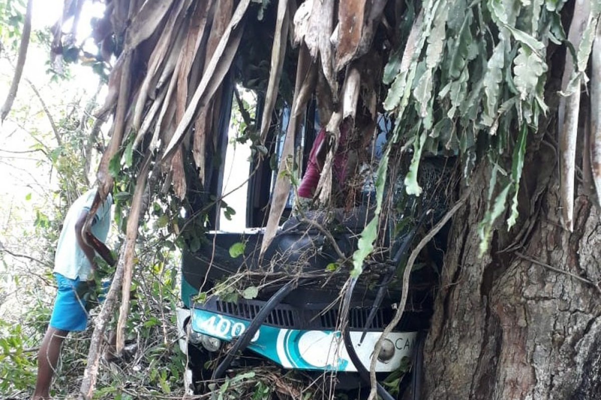 Ônibus colide em árvore e deixa 15 feridos na BR-420, na Bahia