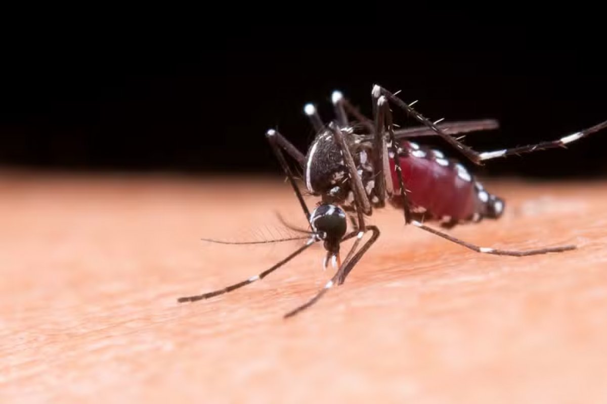Sobe para 121 o número de mortes por dengue na Bahia em 2024