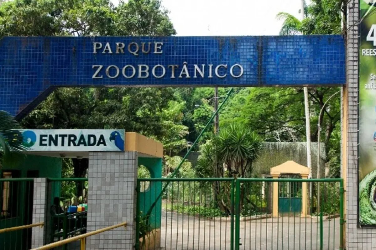 Governo da Bahia desiste de concessão do Zoológico de Salvador
