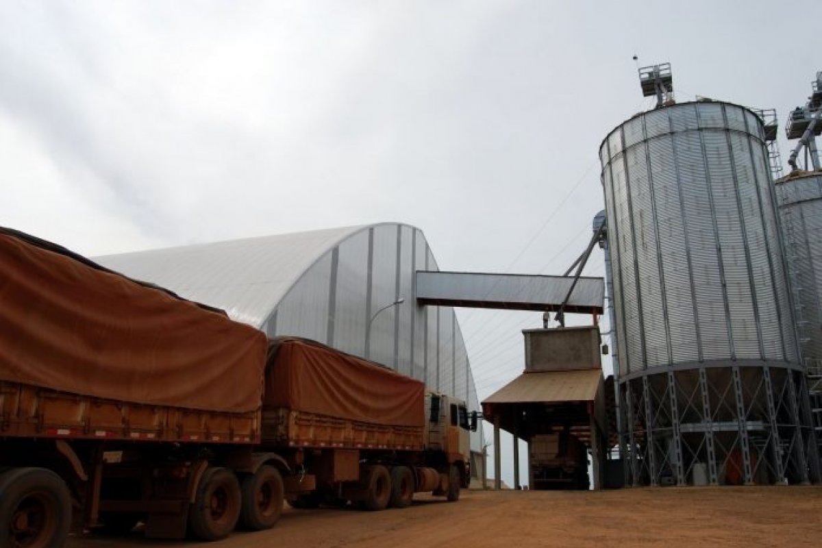 Bahia lidera exportações agrícolas no Nordeste em 2024