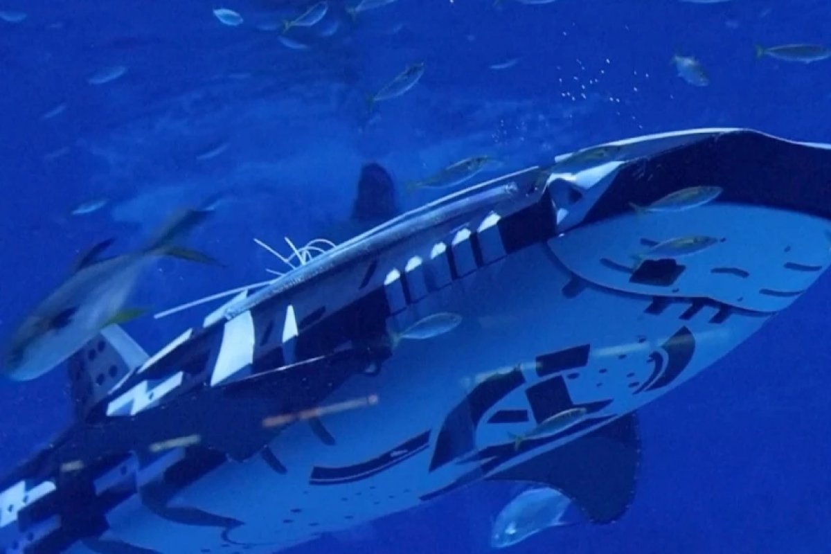 Vídeo: Empresa chinesa cria primeiro peixe biônico do mundo capaz de mergulhar até 20 metros