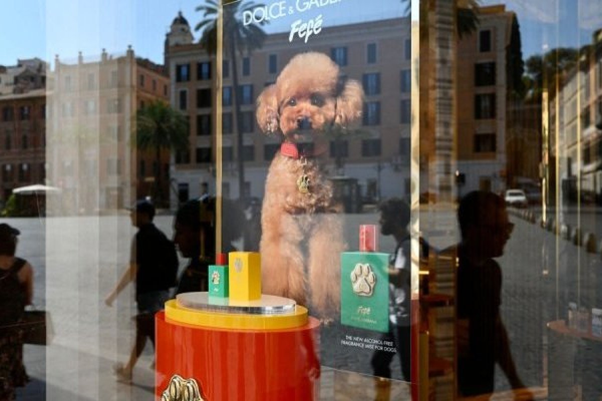 Dolce & Gabbana lança perfume para cães!