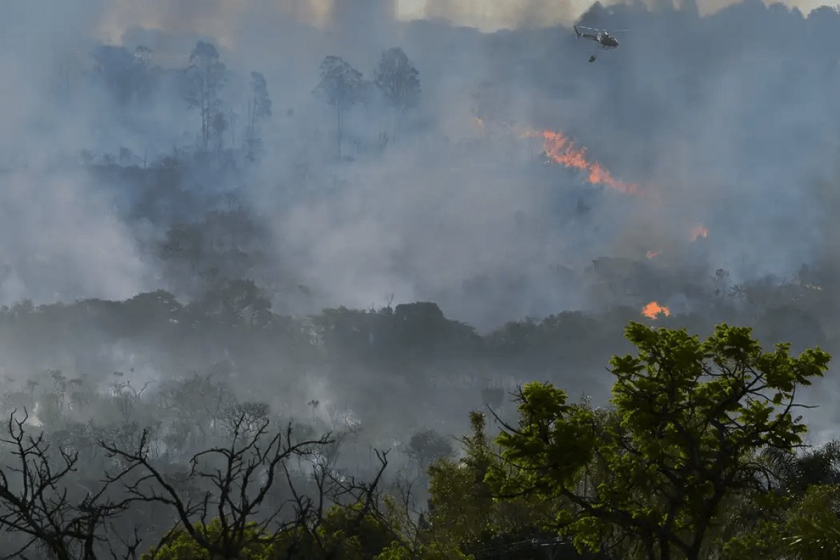 Amazonas registra quase 3 mil focos de queimadas nos primeiros dias de agosto, mostra Inpe