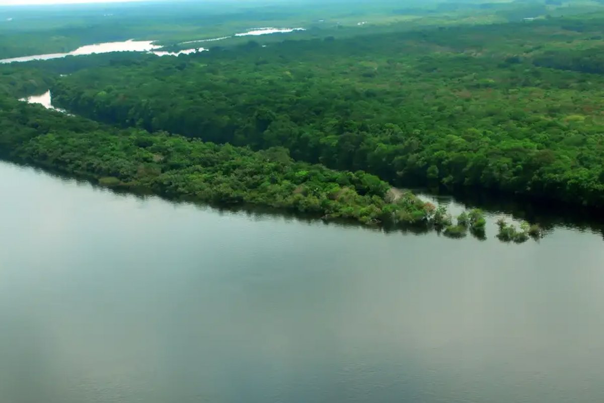 Amazonas fica em alerta sobre qualidade do ar insalubre em cidades