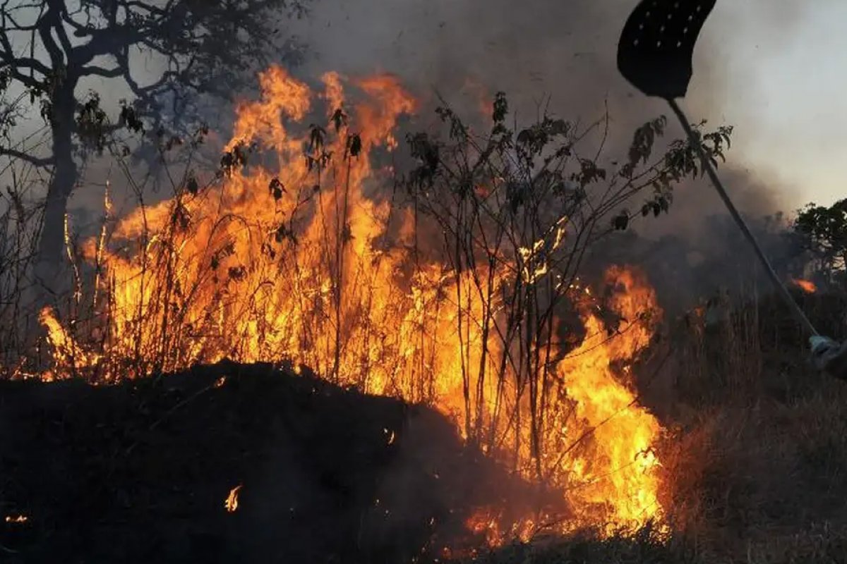 Grécia ordena evacuação por incêndios florestais