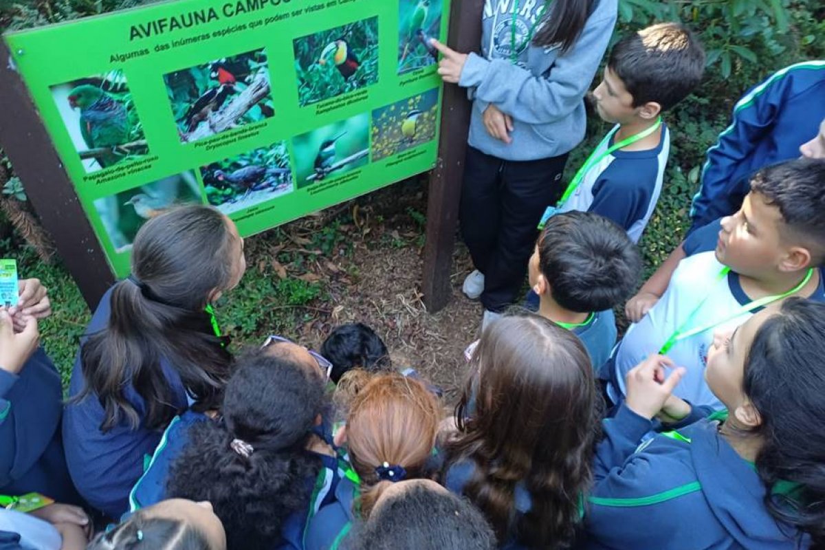 Play Recycling lança primeiro programa de educação ambiental do Brasil!