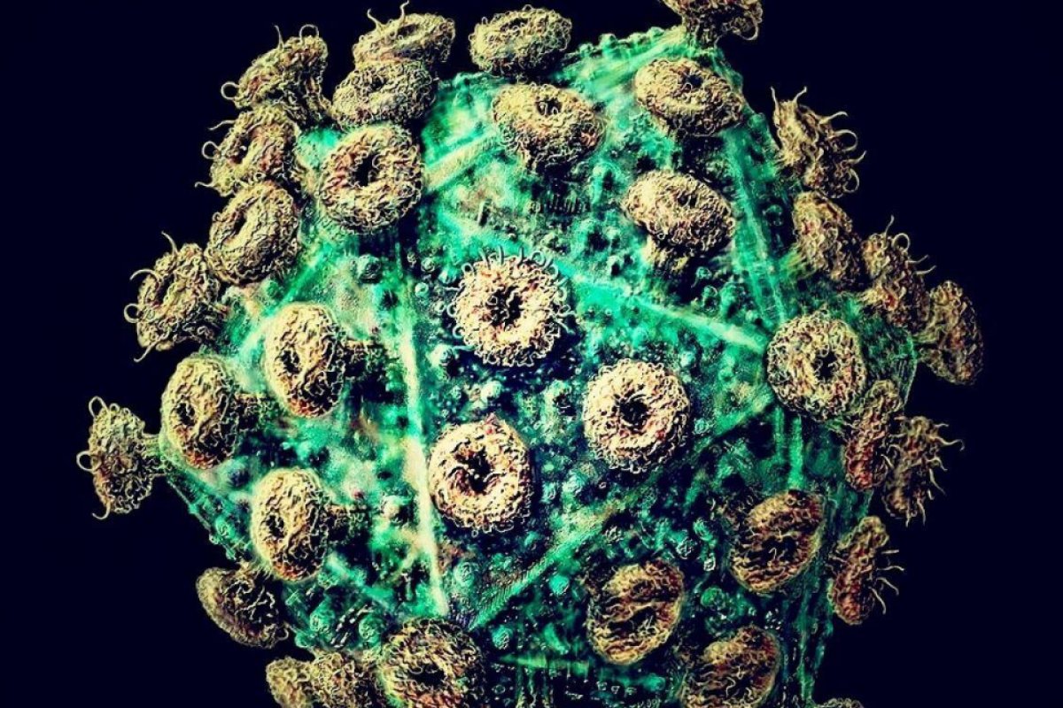 Nova variante do HIV está circulando em pelo menos três estados brasileiros, diz estudo