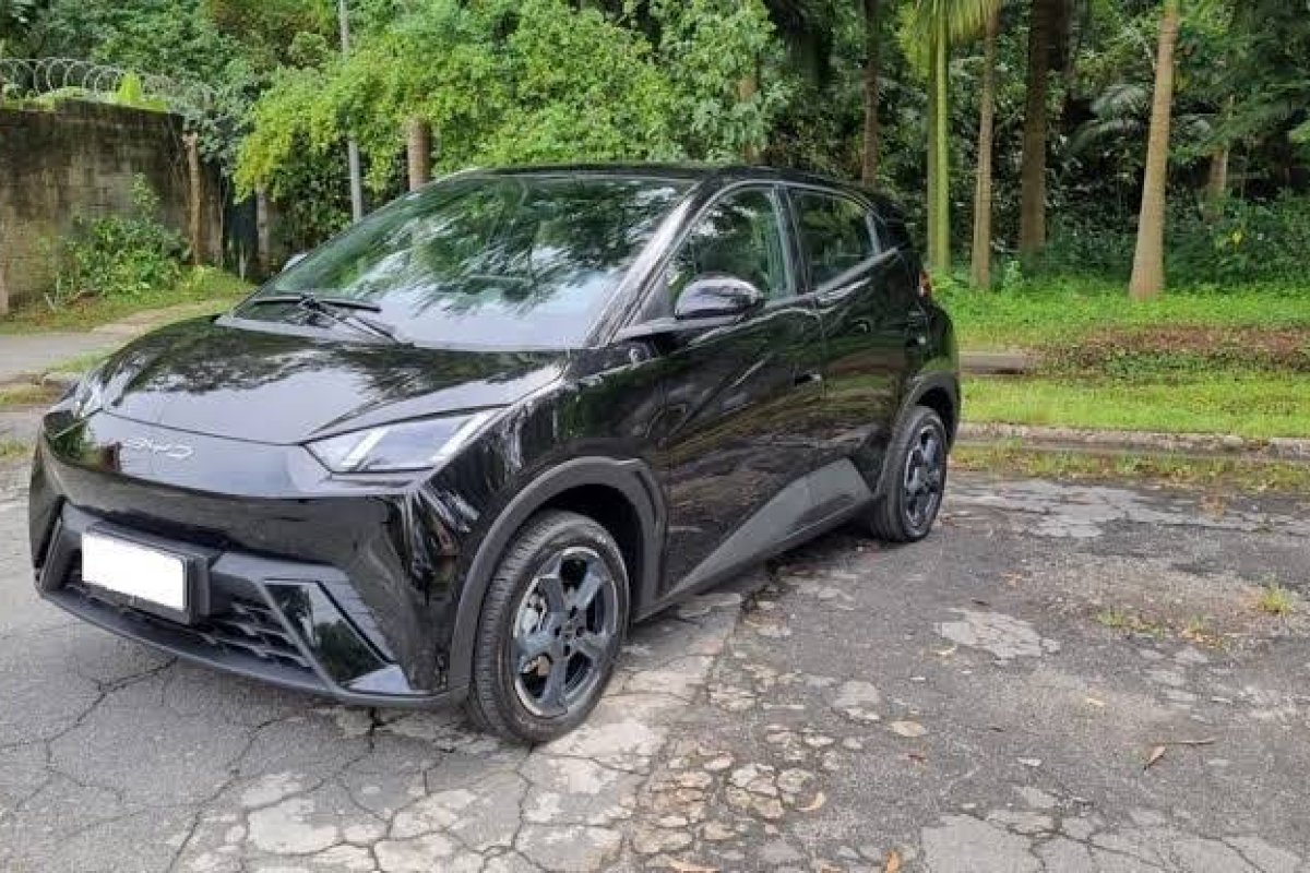 Veja o preço do Dolphin Mini para o público PCD