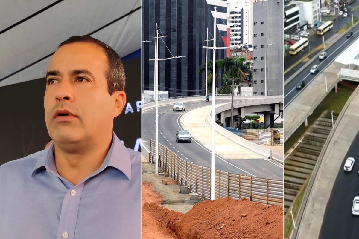 Desmatamento e obras do BRT ameaçam biomas de Salvador e colocam preservação em risco