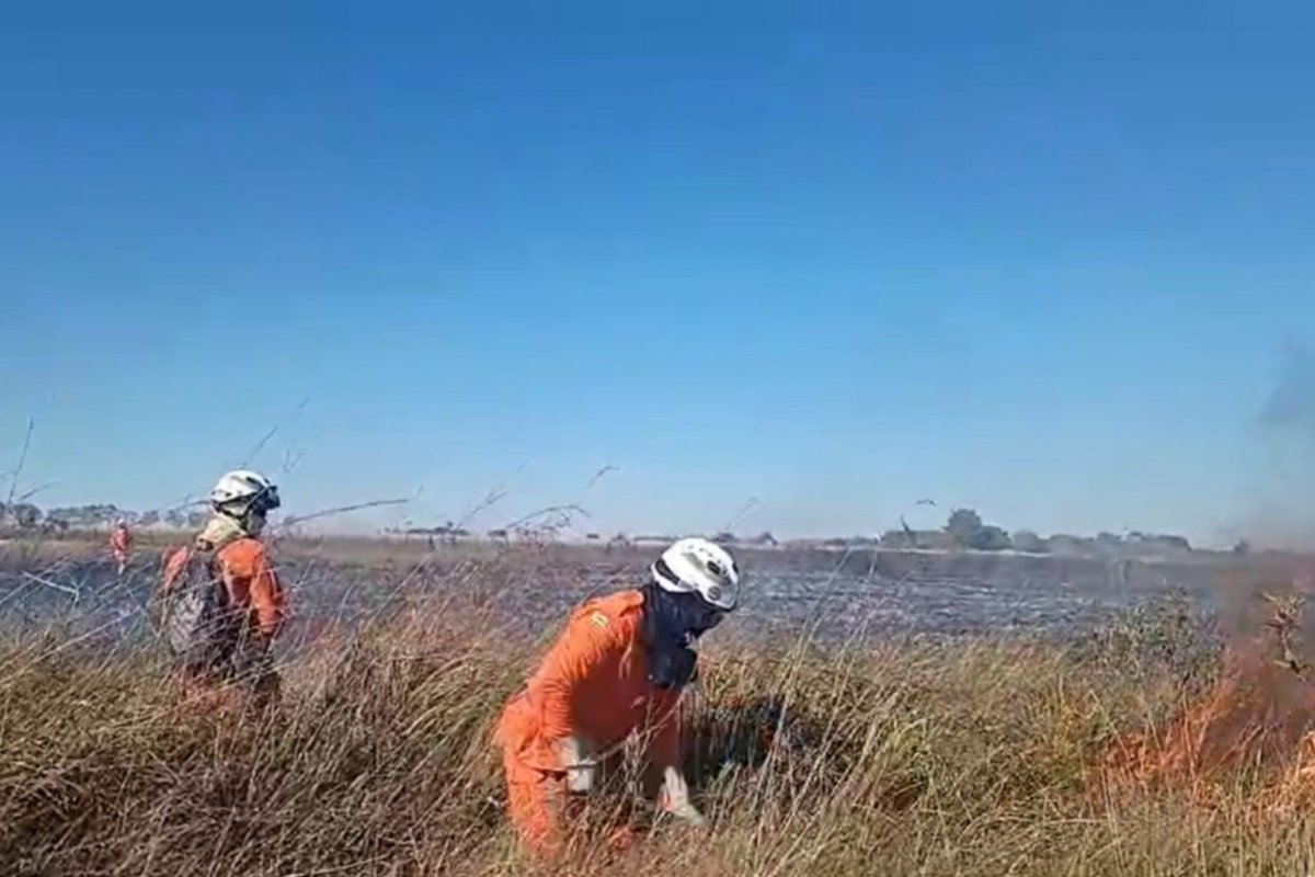 Vídeo: Corpo de Bombeiros iniciam ações para evitar incêndios florestais na Bahia; saiba me quais municípios