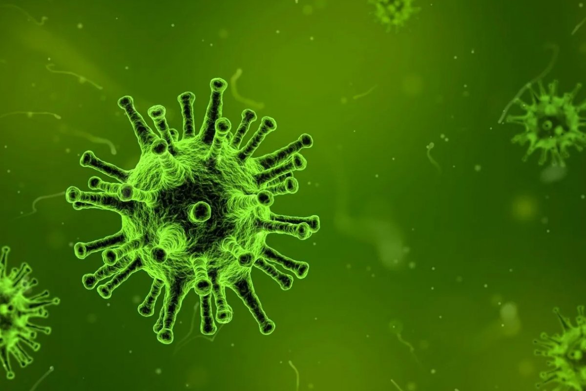 Fiocruz: internações por síndrome respiratória crescem na Bahia e mais quatro estados