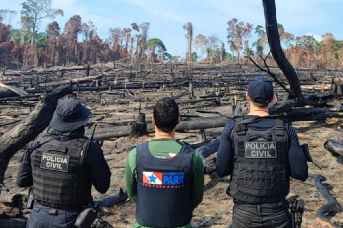 Brasil registra aumento de denúncias de violações contra defensores de direitos humanos